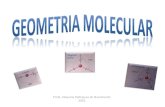 Geometria molecular, forças intermoleculares e solubilidade