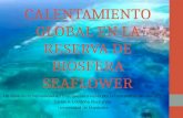 Calentamiento global en la reserva de biosfera seaflower
