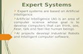 Expert systems - MIS