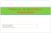 Sistemas de Nutrición y Fotosíntesis