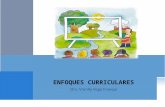 Educ 621 Enfoque Curriculares - Tecnico / No -Tecnico