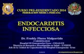 Endocarditis residentado fmp 2014