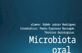 Microbiota oral