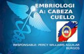 EMBRIOLOGIA DE LA CABEZA Y CUELLO