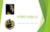 Homo hábilis