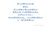 Formas de contenido multimedia digital