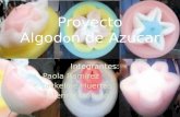 Proyecto algodon de azucar 5F Gnral Emilio Soyer Cabero