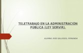 Teletrabajo en la administración pública (ley servir