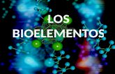 clasificacion de los bioelementos primarios
