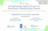 Adaptación en el sector agrícola