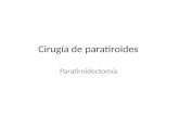 Cirugía de paratiroides