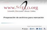 Preparación de archivos para marcación - Equipo Producción SciELO Brasil