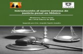 Curso Introducccion al nuevo sistema de justicia penal en Mexico V1