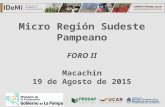 Presentacion II Foro - Micro Región Sudeste de LP