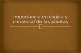 Importancia ecológica y comercial de las plantas
