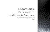 Endocarditis, pericarditis e insuficiencia cardiaca