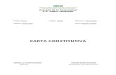 Carta Constitutiva 2015   2017