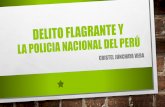 Delito flagrante y la policia nacional del perú