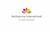 Multiservice international