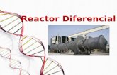 Reactor Flujo Piston