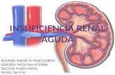 Insuficiencia renal aguda - I.R.A.