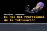 El rol del profesional de la información
