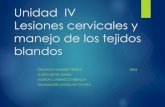 UNIDAD IV LESIONES CERVICALES Y MANEJO DE LOS TEJIDOS BLANDOS