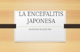 La encefalitis japonesa[1]