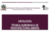 Urologia prostactetomía