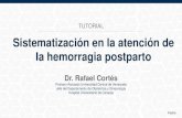 Sistematización en la atención de la hemorragia postparto. Dr. Rafael Cortés Charry