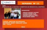 SEMANA 11 - GERENCIA DE RIESGOS