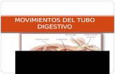 Movimientos del tubo digestivo