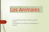 Los animales, alimentacion, proteccion y hábitat