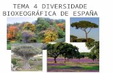 Tema 4  A diversidade bioxeografica de España