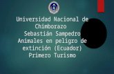 animales en peligro de extincion Ecuador