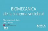 Biomecanica cervicales y baropodometria - FEPOAL, A.C. Pdgo. Eduardo de la Garza