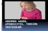 Abdomen agudo apendicitis torsion testicular