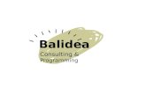 Presentación corporativa balidea (español)