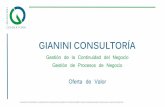 Gianini Consultoría - Oferta de servicios
