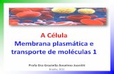 Aula 1   a célula - memb plasm e transp mol 5 - parte 1 - 2-2015 aprender