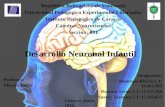 Presentación neurociencias