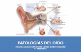 Patologías del oído