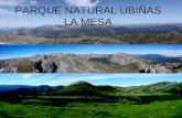 Parque Natural de las Ubiñas - La Mesa