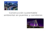Construcción sustentable ambiental en puentes y carreteras