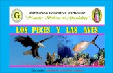 Peces  y  aves