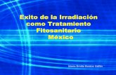 Caso de estudio: éxito de irradiación en México