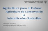Agricultura para el Futuro: Agricultura de Conservación la Intensificación Sostenible