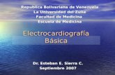 Medicina   fisiologia. electrocardiografia normal (ecg)
