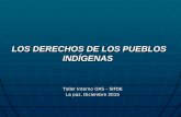 Derechos de los pueblos indígenas