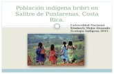 Población indígena bribri en salitre